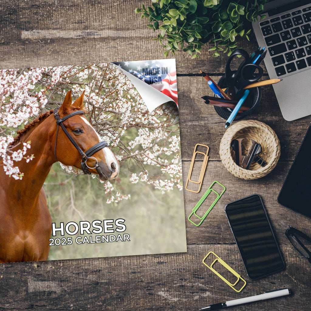 Horses Wall Calendar 2025