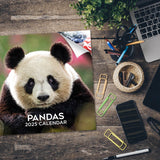 Pandas Wall Calendar 2025