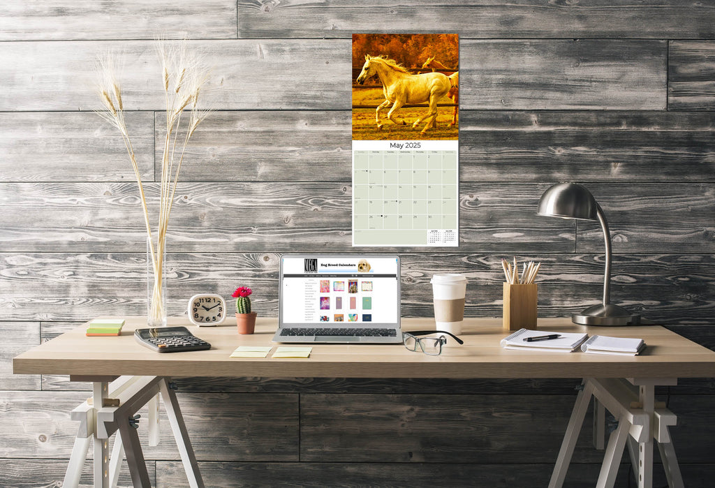 Horses Wall Calendar 2025