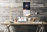 Webb Discoveries Wall Calendar 2025