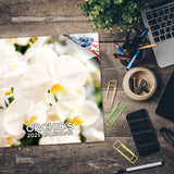 Orchids Wall Calendar 2025
