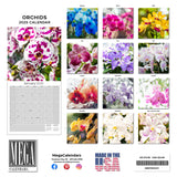 Orchids Wall Calendar 2025