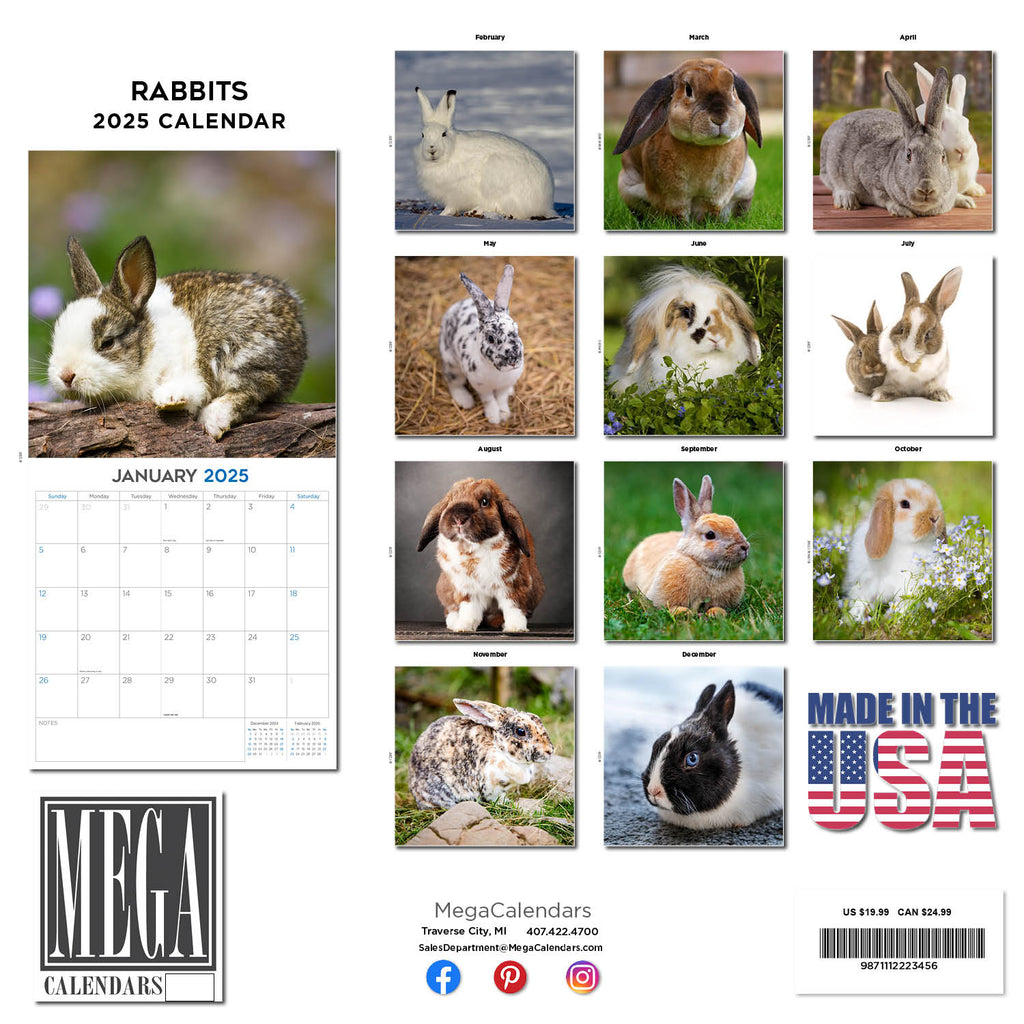 Rabbits Wall Calendar 2025