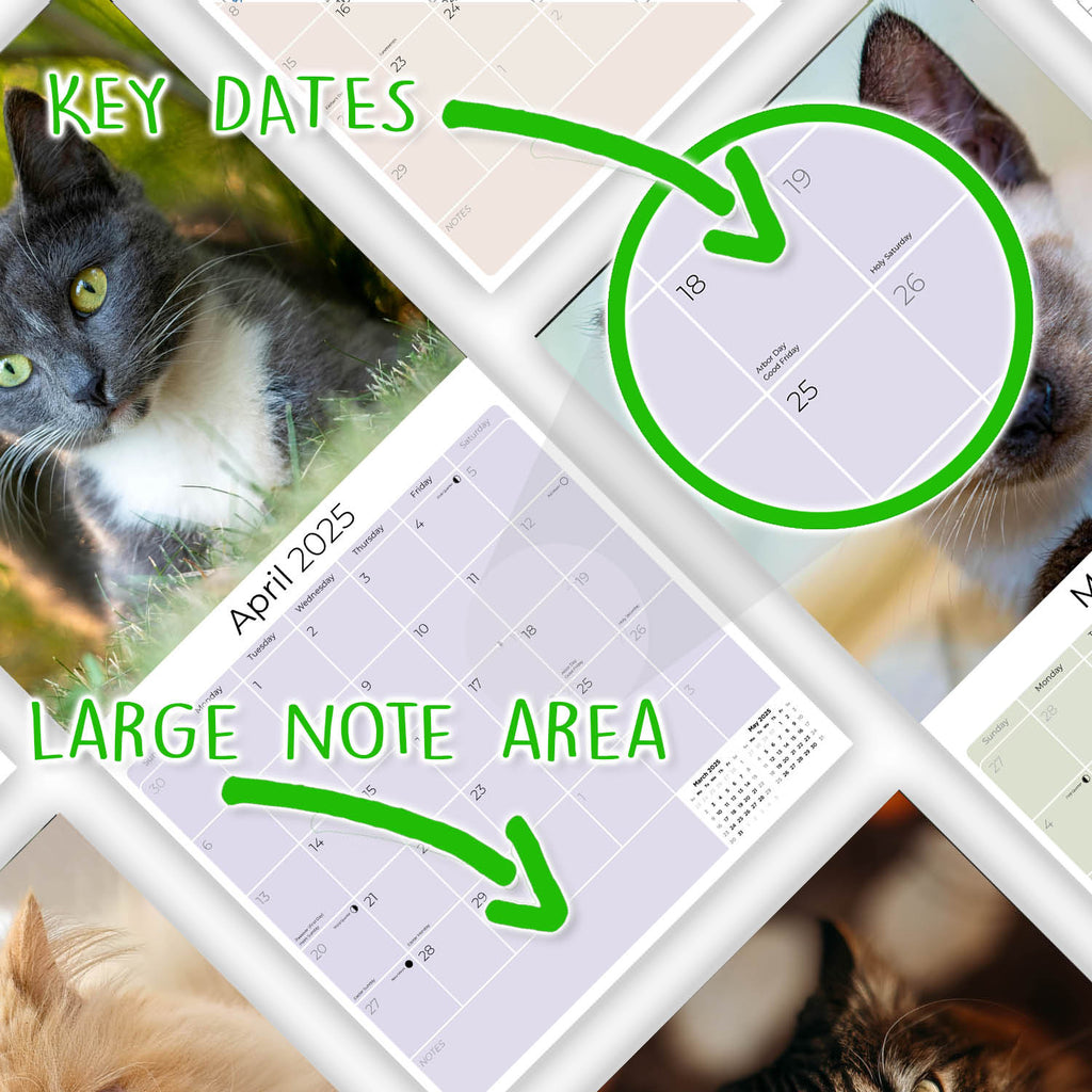 Cats Wall Calendar 2025