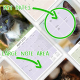 Cats Wall Calendar 2025