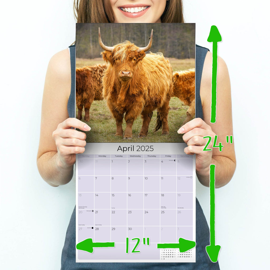Highland Cows Calendar 2025