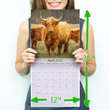 Highland Cows Calendar 2025