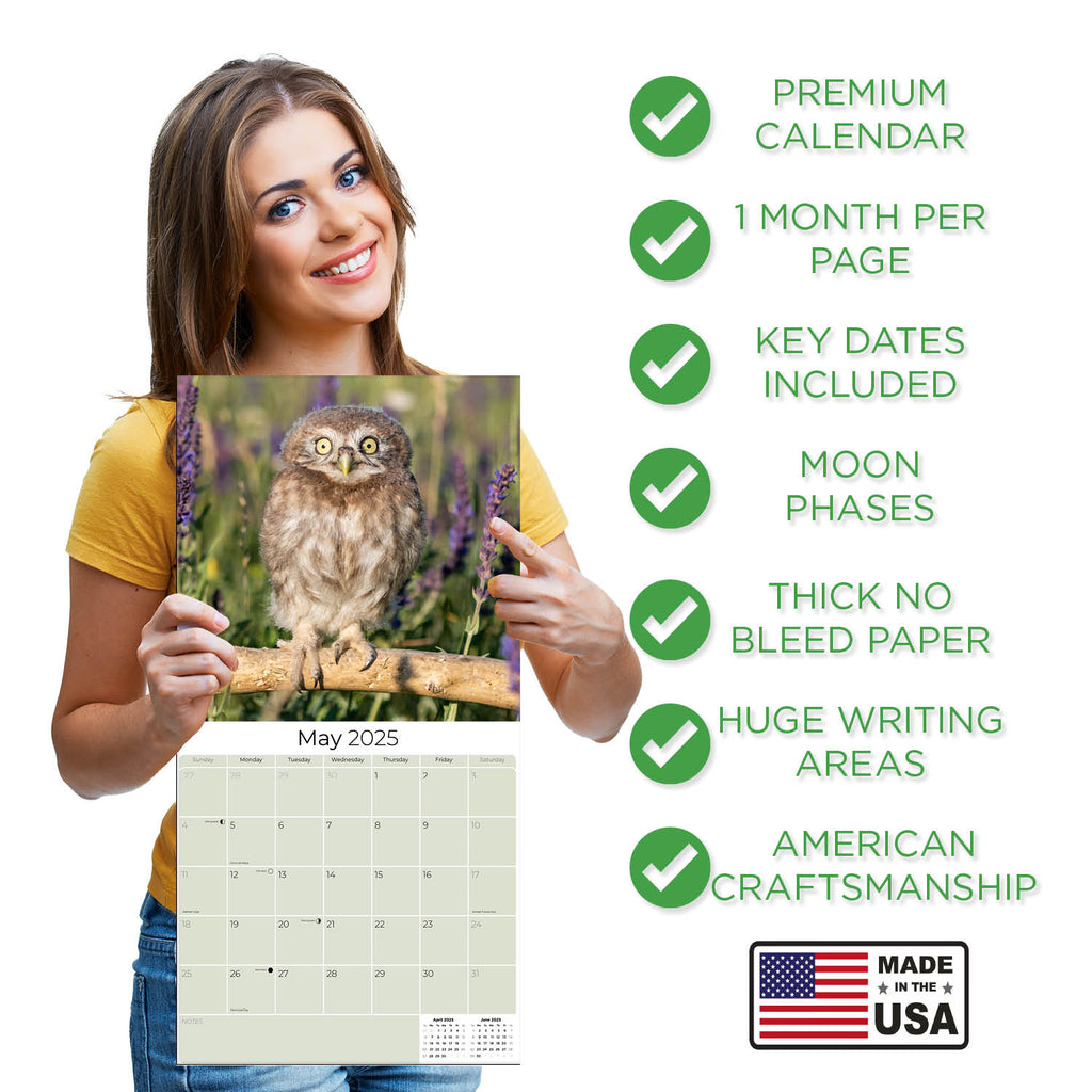 Owls Wall Calendar 2025