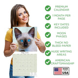 Cats - Siamese Wall Calendar 2025