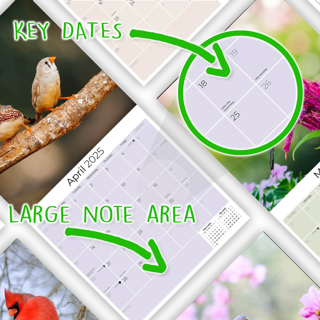 Garden Birds Wall Calendar 2025