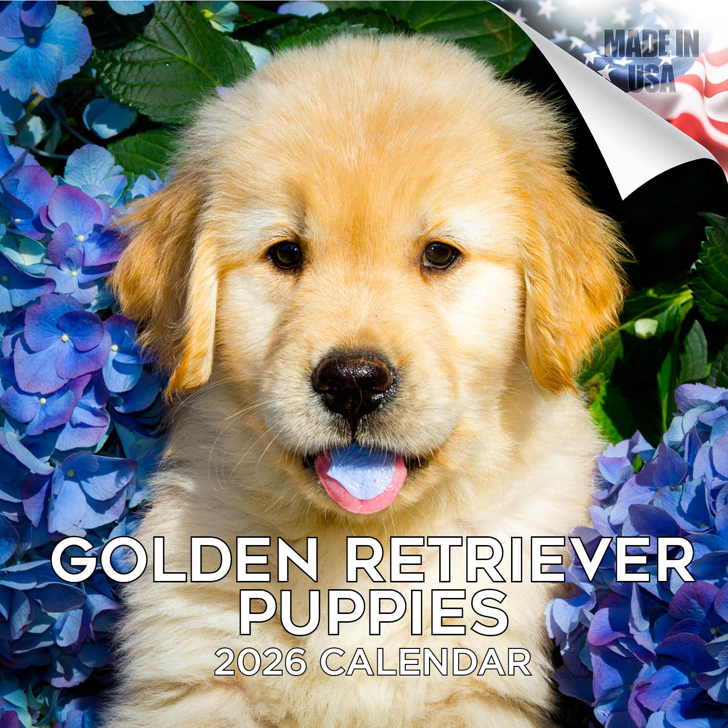 Golden Retriever Puppies Wall Calendar 2026