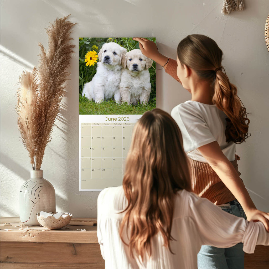 Golden Retriever Puppies Wall Calendar 2026