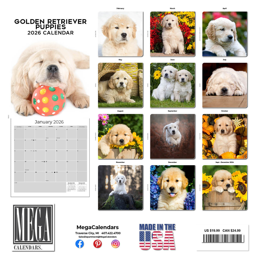 Golden Retriever Puppies Wall Calendar 2026