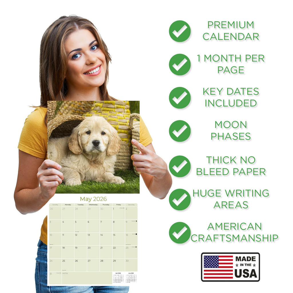 Golden Retriever Puppies Wall Calendar 2026
