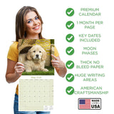 Golden Retriever Puppies Wall Calendar 2026