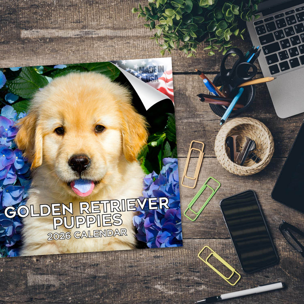Golden Retriever Puppies Wall Calendar 2026