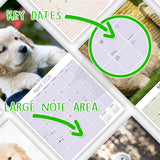 Golden Retriever Puppies Wall Calendar 2026