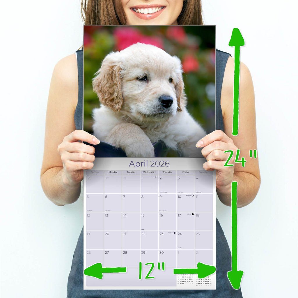 Golden Retriever Puppies Wall Calendar 2026