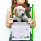 Golden Retriever Puppies Wall Calendar 2026