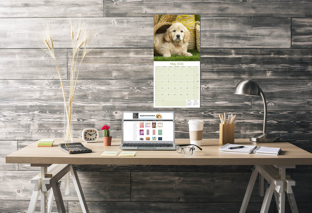 Golden Retriever Puppies Wall Calendar 2026