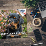Rottweiler Puppies Wall Calendar 2025
