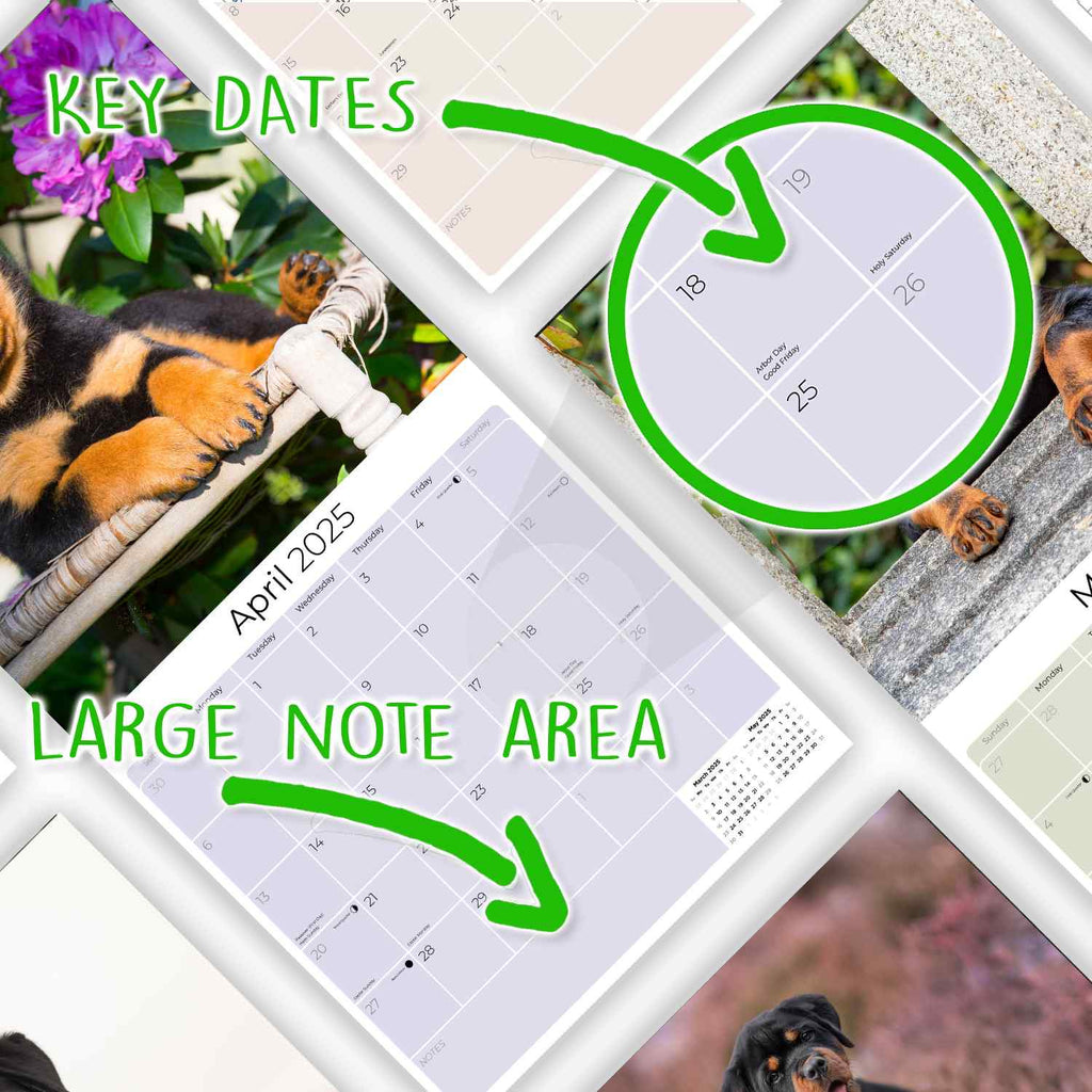 Rottweiler Puppies Wall Calendar 2025