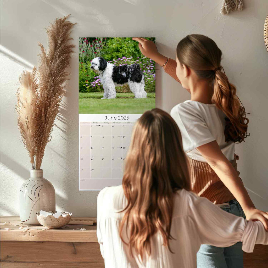 Tibetan Terrier Wall Calendar 2025