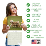 Tibetan Terrier Wall Calendar 2025