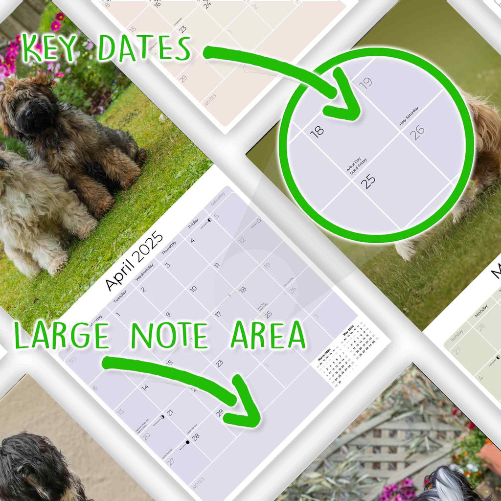 Tibetan Terrier Wall Calendar 2025