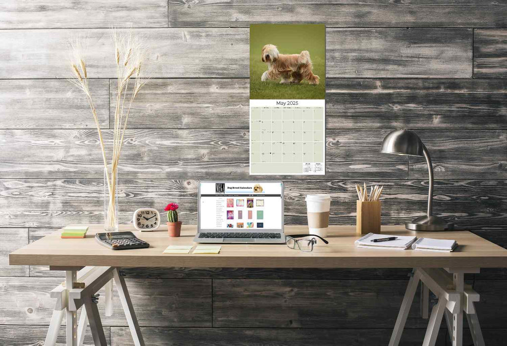 Tibetan Terrier Wall Calendar 2025