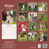 Whippet Calendar 2024 by Avonside