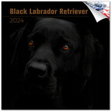 Black Labrador Retriever Wall Calendar 2024