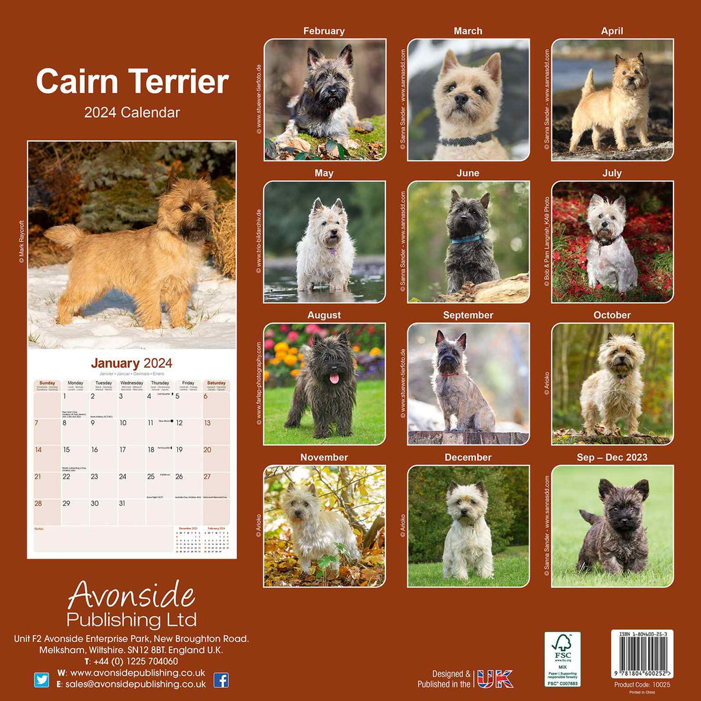 Cairn Terrier Calendar 2024 by Avonside