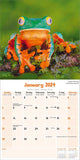 Frogs Wall Calendar 2024 by Avonside