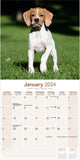 Pointer Wall Calendar 2024