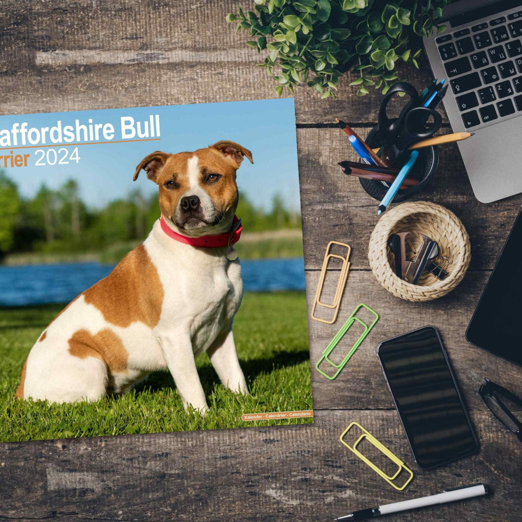 Staffordshire Bull Terrier Wall Calendar 2024 by Avonside
