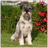 Schnauzer (Euro) Wall Calendar 2024