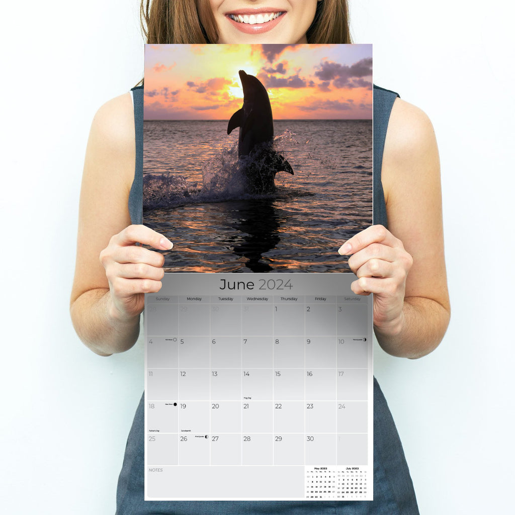 Dolphins Wall Calendar 2024