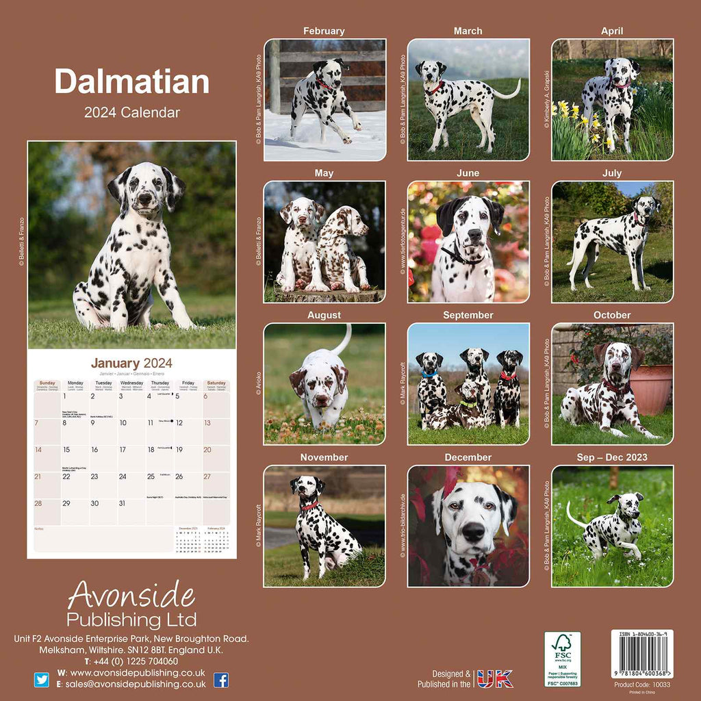 Dalmatian Calendar 2024 by Avonside