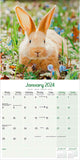 Rabbits Wall Calendar 2024