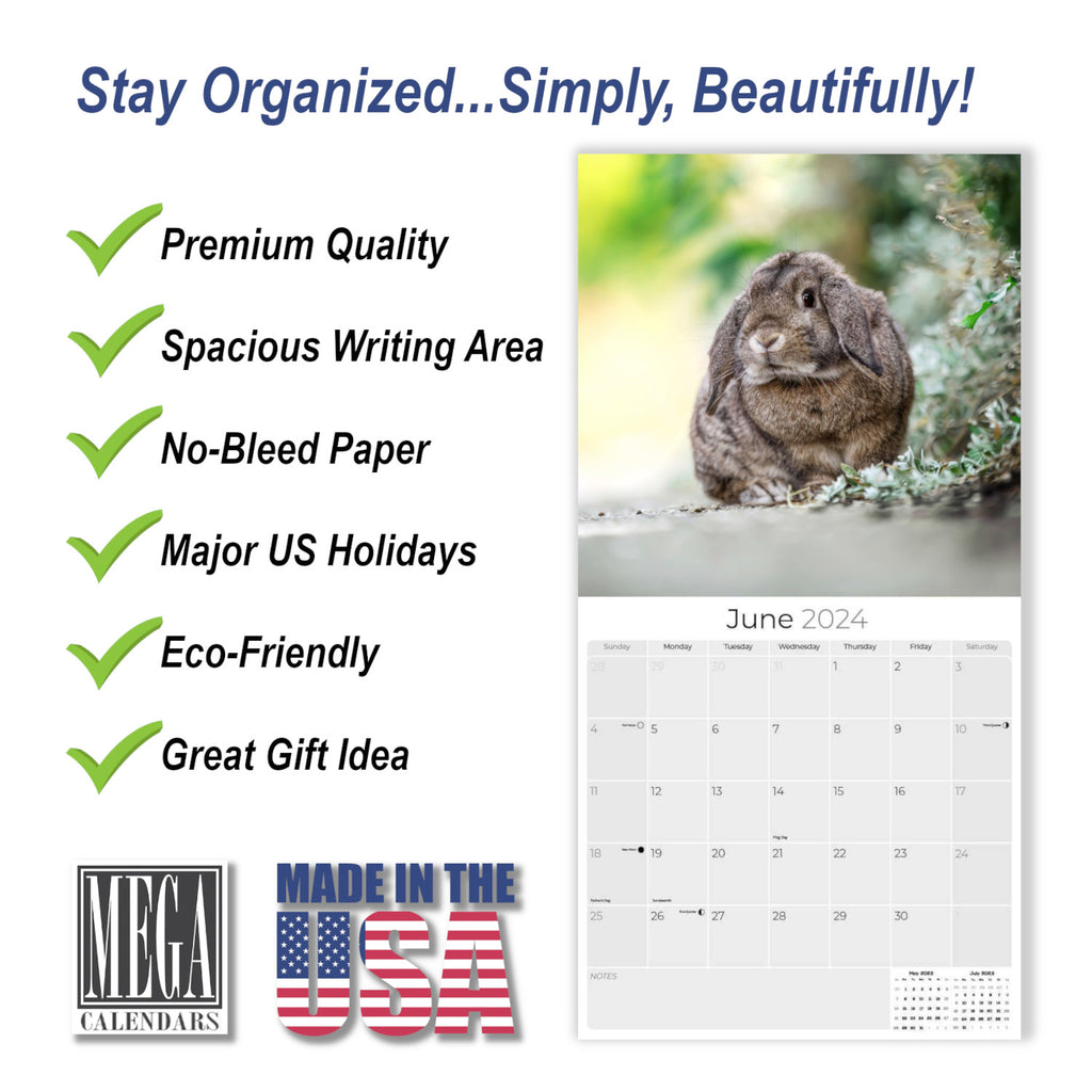 Lop Eared Rabbit Wall Calendar 2024