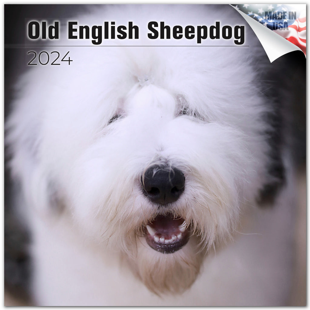 Old English Sheepdog Wall Calendar 2024
