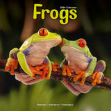 Frogs Wall Calendar 2024 by Avonside