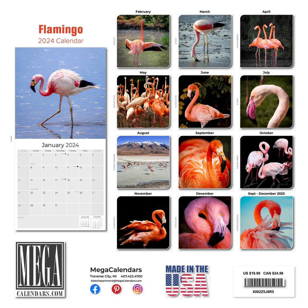 Flamingo Wall Calendar 2024