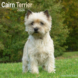 Cairn Terrier Calendar 2024 by Avonside