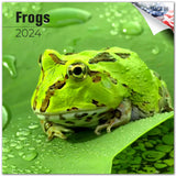 Frogs Calendar 2024