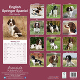 Engish Springer Spaniel (EU) Wall Calendar 2024 by Avonside