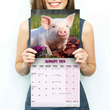 Pigs Wall Calendar 2024