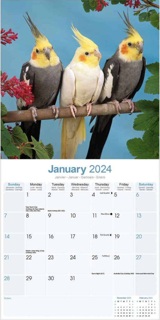 Cockatiels Wall Calendar 2024