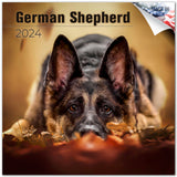German Shepherd Wall Calendar 2024